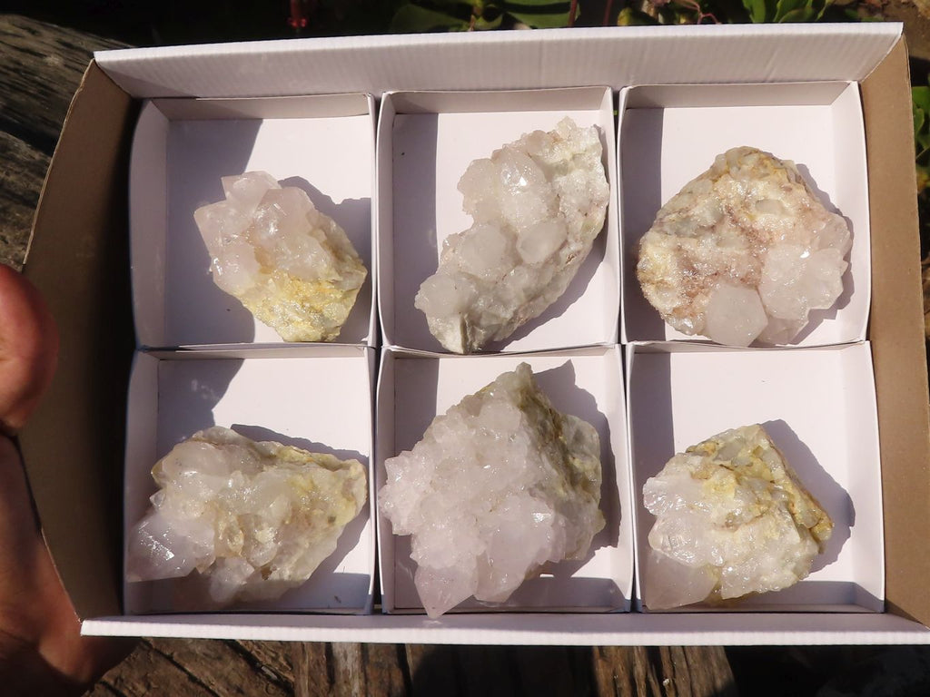Natural White Cactus Flower Spirit Quartz Specimens x 6 From Boekenhouthoek, South Africa - Toprock Gemstones and Minerals 