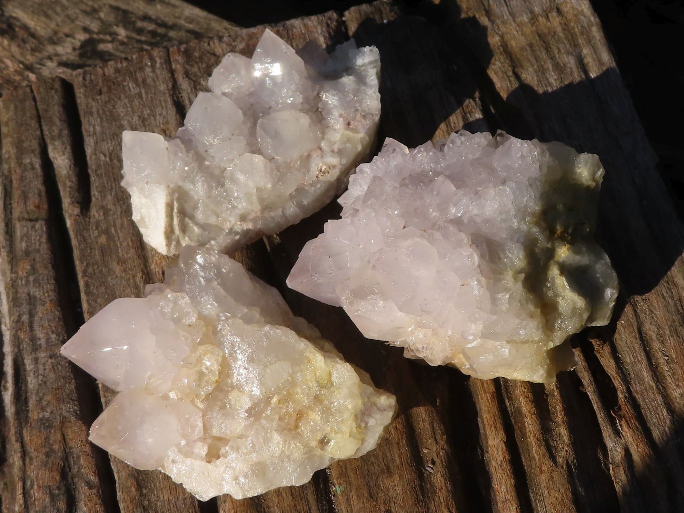 Natural White Cactus Flower Spirit Quartz Specimens x 6 From Boekenhouthoek, South Africa - Toprock Gemstones and Minerals 