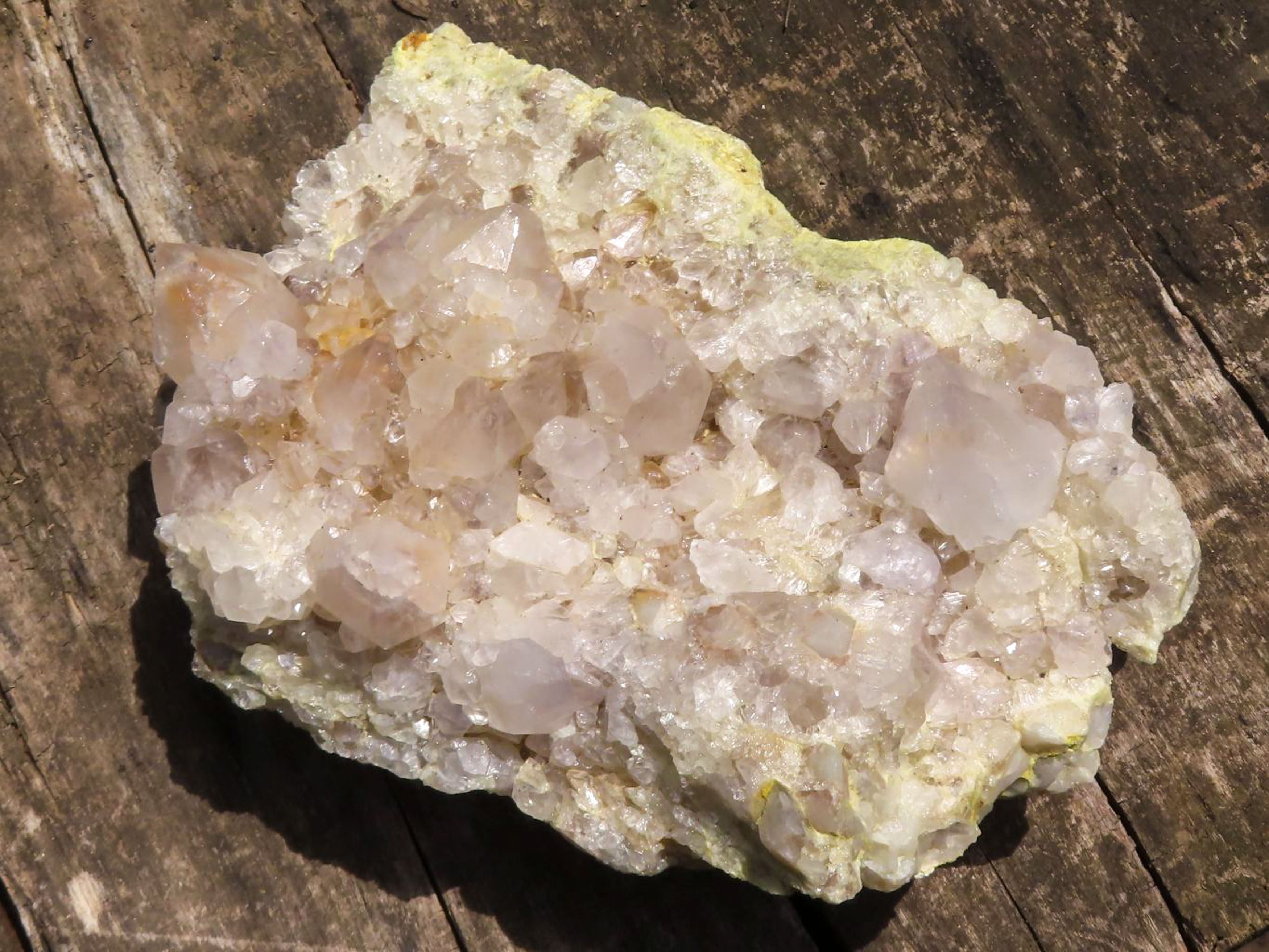 Natural Spirit Cactus Quartz Specimens  x 2 From Boekenhouthoek, South Africa - TopRock