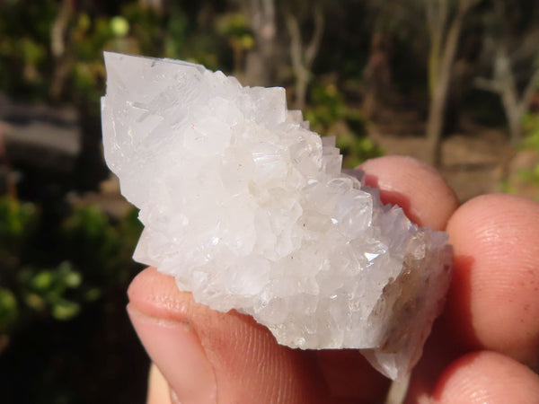 Natural Small White Spirit Quartz Specimens x 70 From Boekenhouthoek, South Africa - Toprock Gemstones and Minerals 