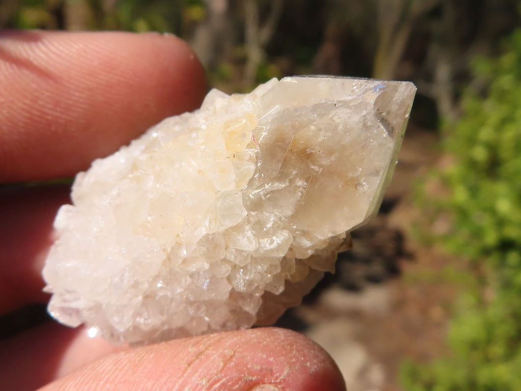 Natural Small White Spirit Quartz Specimens x 70 From Boekenhouthoek, South Africa - Toprock Gemstones and Minerals 