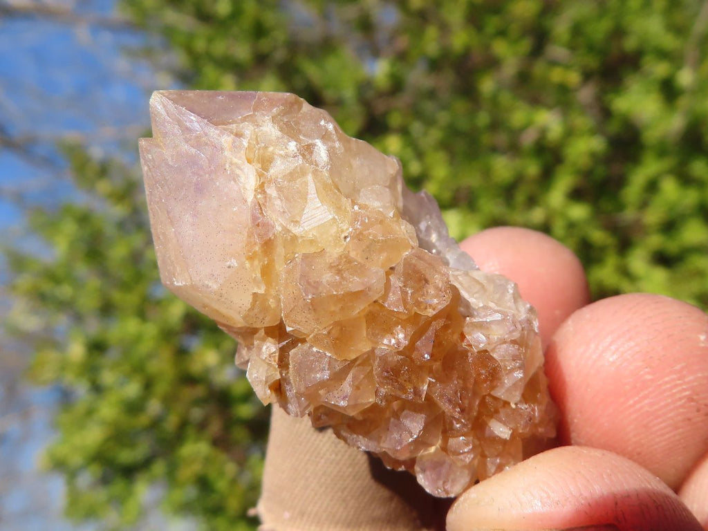 Natural Small White Spirit Quartz Specimens x 70 From Boekenhouthoek, South Africa - Toprock Gemstones and Minerals 