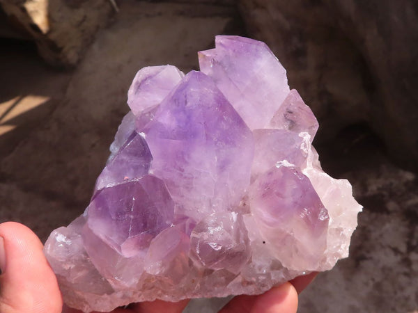 Natural Jacaranda Amethyst Clusters  x 2 From Zambia