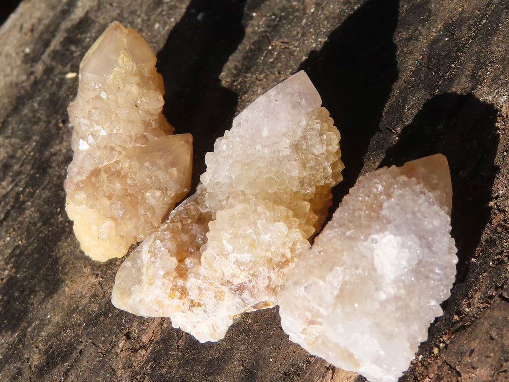 Natural Small White Spirit Quartz Specimens x 70 From Boekenhouthoek, South Africa - Toprock Gemstones and Minerals 