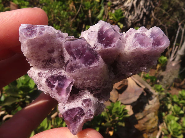 Natural Sugar Amethyst Clusters  x 6 From Solwezi, Zambia