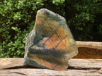 Polished One Side Polished Labradorite Slices  x 6 From Tulear, Madagascar - TopRock