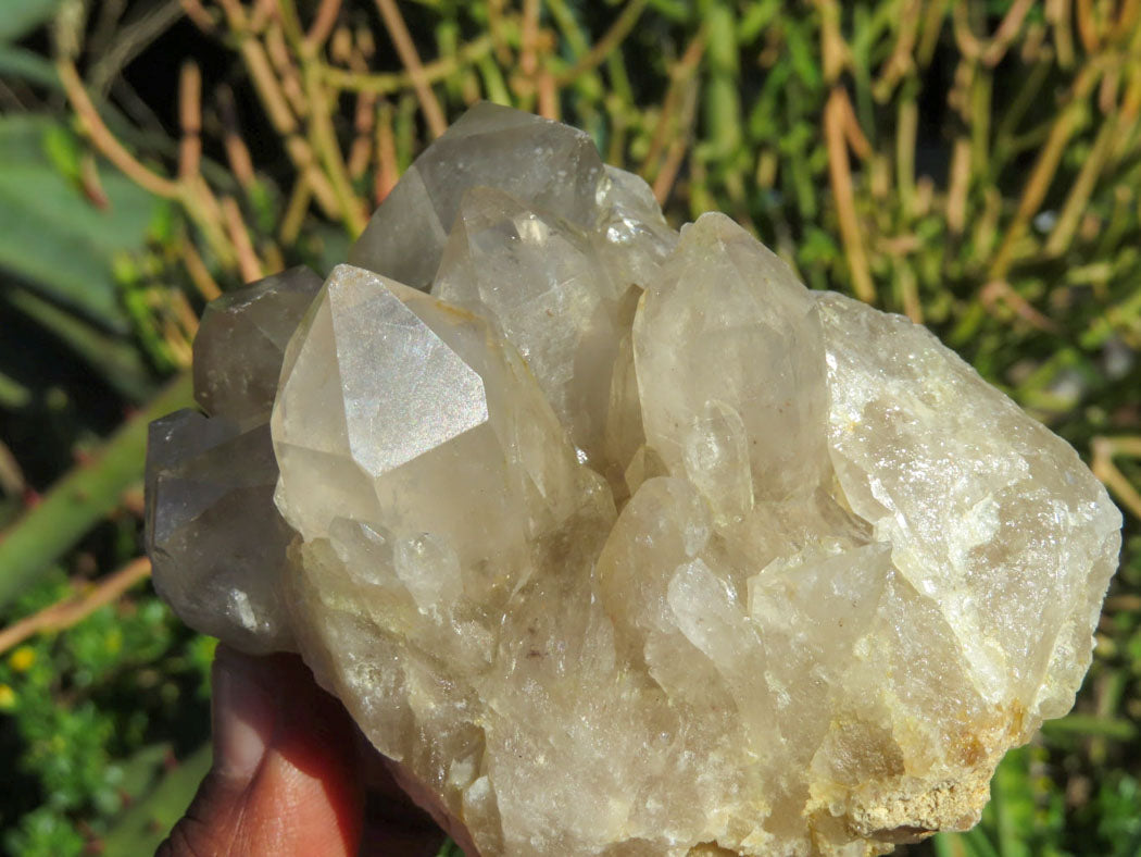 Natural Smokey Phantom Quartz Clusters x 6 From Luena, Congo - TopRock