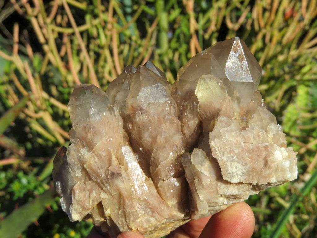 Natural Smokey Phantom Quartz Clusters x 6 From Luena, Congo - TopRock