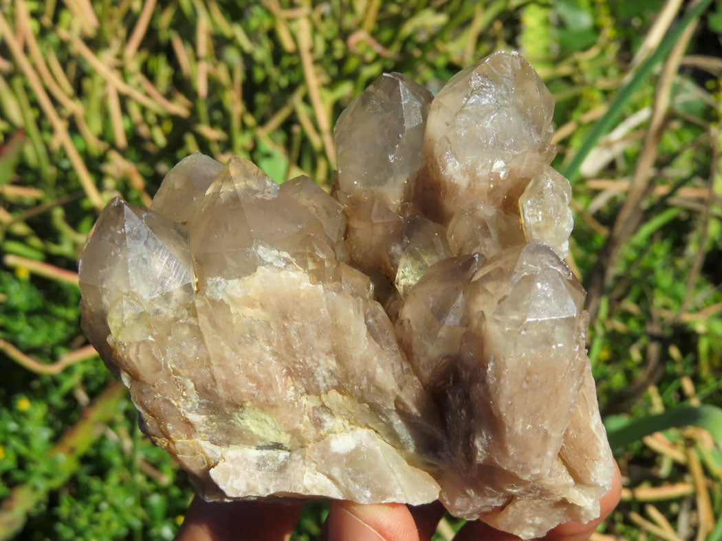 Natural Smokey Phantom Quartz Clusters x 6 From Luena, Congo - TopRock