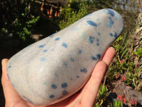 Polished Blue Spotted Spinel Quartz Standing Free Form x 1 From Madagascar - Toprock Gemstones and Minerals 