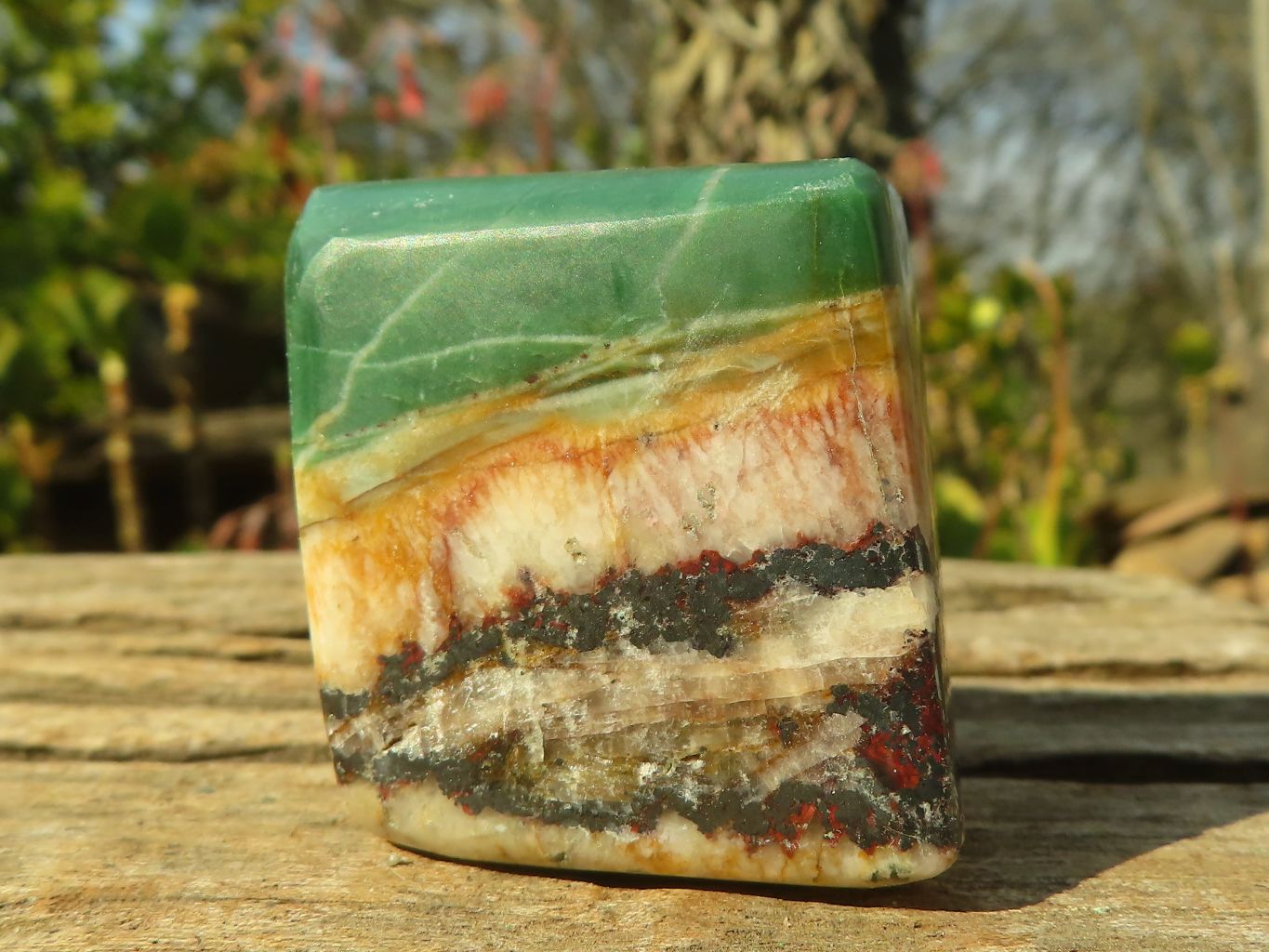 Polished New Green Chrysoprase Free Forms  x 12 From Namibia - Toprock Gemstones and Minerals 