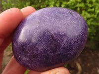 Polished  Purple Lepidolite Free Forms  x 6 From Zimbabwe - Toprock Gemstones and Minerals 