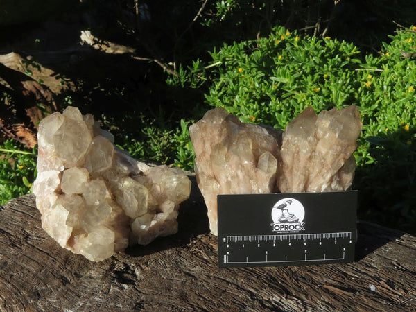 Natural Smokey Phantom Quartz Clusters x 2 From Lwena, Congo - TopRock