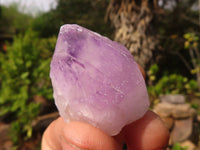Natural Small Mixed Spirit Quartz Crystals  x 70 From Boekenhouthoek, South Africa - Toprock Gemstones and Minerals 