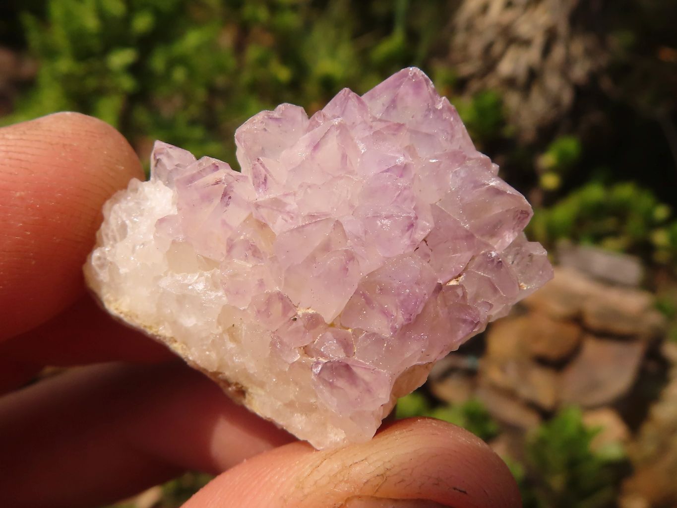 Natural Small Mixed Spirit Quartz Crystals  x 70 From Boekenhouthoek, South Africa - Toprock Gemstones and Minerals 