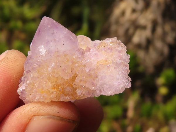 Natural Small Mixed Spirit Quartz Crystals  x 70 From Boekenhouthoek, South Africa - Toprock Gemstones and Minerals 