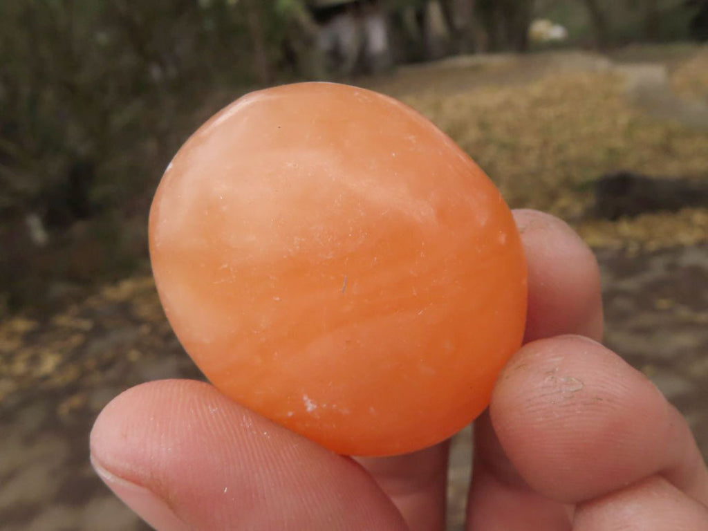 Polished Orange Twist Calcite Palm Stones  x 20 From Madagascar - TopRock