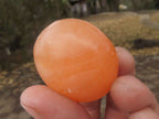 Polished Orange Twist Calcite Palm Stones  x 20 From Madagascar - TopRock