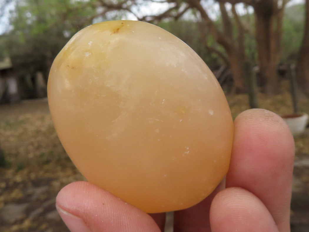 Polished Orange Twist Calcite Palm Stones  x 20 From Madagascar - TopRock