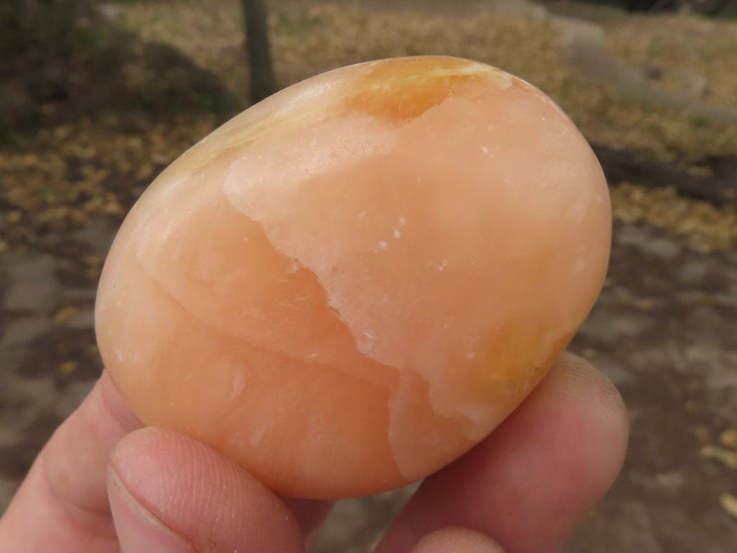 Polished Orange Twist Calcite Palm Stones  x 20 From Madagascar - TopRock