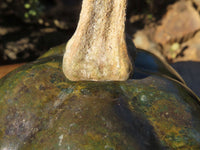Polished Verdite Pumpkin Carving x 1 From Zimbabwe - TopRock