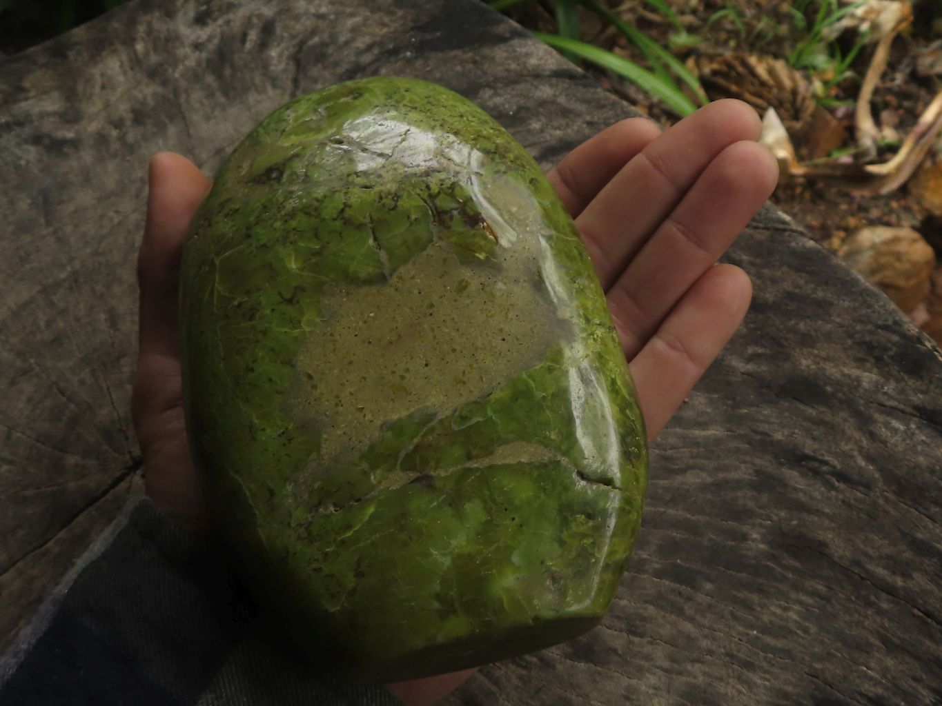 Polished Green Opal Standing Free Form  x 1 From Antsirabe, Madagascar - TopRock