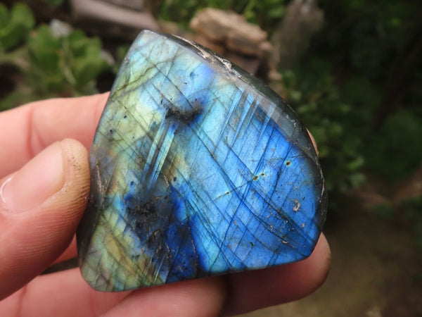 Polished Small Labradorite Standing Free Forms With Blue & Gold Flash x 12 From Tulear, Madagascar - TopRock