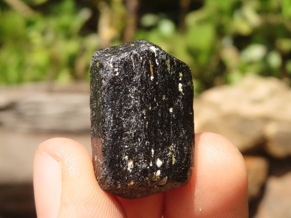 Natural Alluvial Schorl Black Tourmaline Rough Crystals  x 63 From Zambia - TopRock