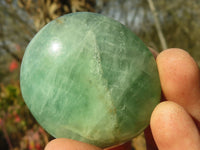 Polished Gemmy Emerald Fluorite Palm Stones  x 12 From Mandrosonoro, Madagascar