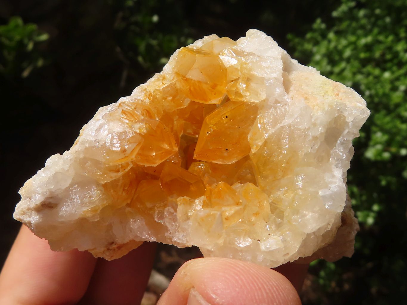 Natural Golden Limonite / Lemonite Quartz Clusters  x 24 From Zambia - Toprock Gemstones and Minerals 