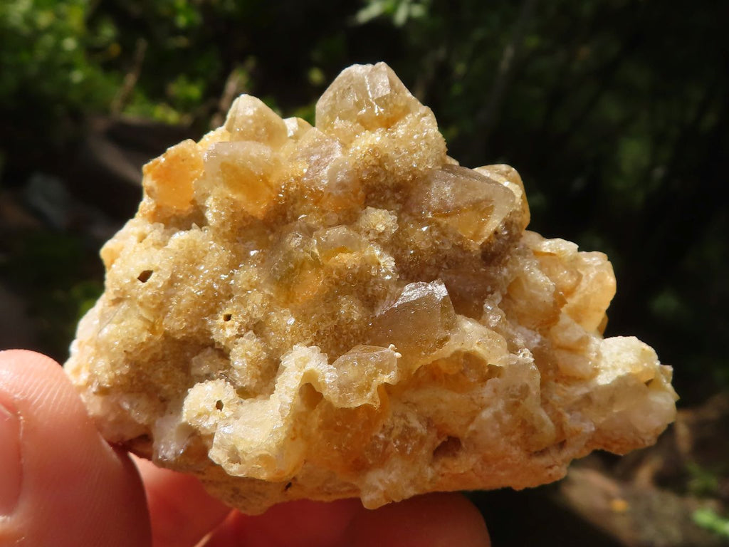 Natural Golden Limonite / Lemonite Quartz Clusters  x 24 From Zambia - Toprock Gemstones and Minerals 