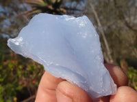 Natural Etched Blue Chalcedony Specimens  x 35 From Nsanje, Malawi - Toprock Gemstones and Minerals 
