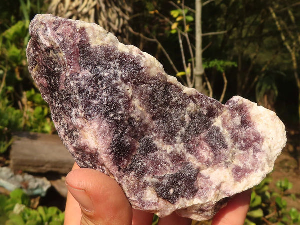 Natural Rough Purple Lepidolite Specimens  x 6 From Namibia - Toprock Gemstones and Minerals 