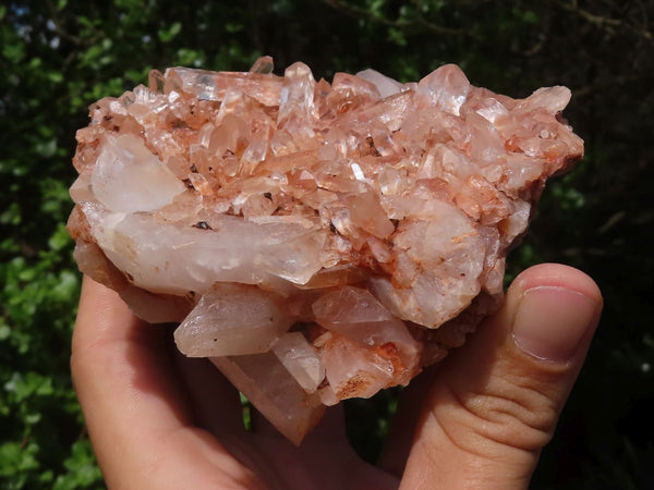 Natural Tangerine Tinted Clear Quartz Clusters  x 4 From Zambia - Toprock Gemstones and Minerals 