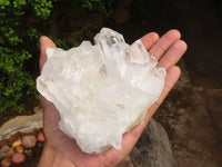 Natural Clear Quartz Crystal Specimens  x 5 From Zambia - Toprock Gemstones and Minerals 