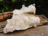 Natural Clear Quartz Crystal Specimens  x 5 From Zambia - Toprock Gemstones and Minerals 