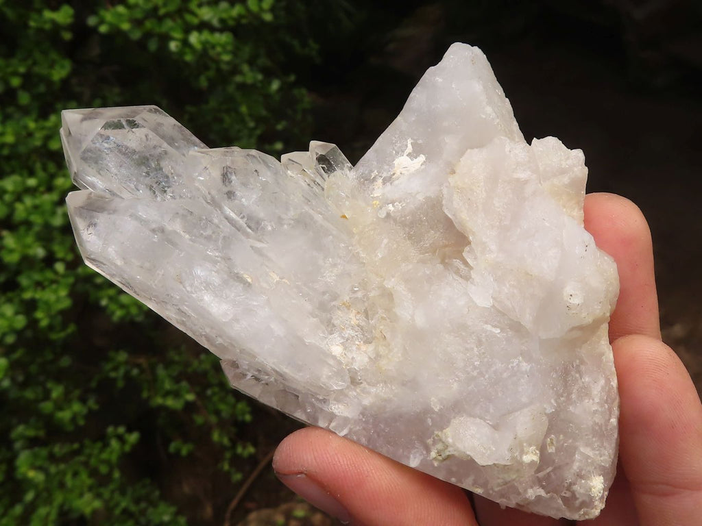 Natural Clear Quartz Crystal Specimens  x 5 From Zambia - Toprock Gemstones and Minerals 