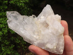 Natural Clear Quartz Crystal Specimens  x 5 From Zambia - Toprock Gemstones and Minerals 