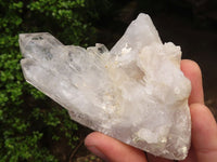 Natural Clear Quartz Crystal Specimens  x 5 From Zambia - Toprock Gemstones and Minerals 