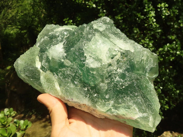Natural Extra Large Stepped Fluorite Specimen  x 1 From Uis, Namibia - TopRock