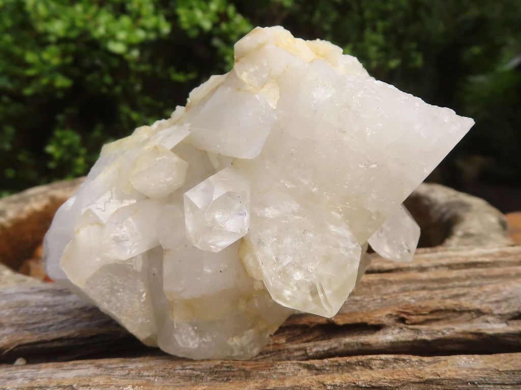 Natural Clear Quartz Crystal Specimens  x 5 From Zambia - Toprock Gemstones and Minerals 