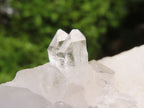 Natural Clear Quartz Crystal Specimens  x 5 From Zambia - Toprock Gemstones and Minerals 