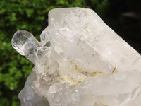 Natural Clear Quartz Crystal Specimens  x 5 From Zambia - Toprock Gemstones and Minerals 