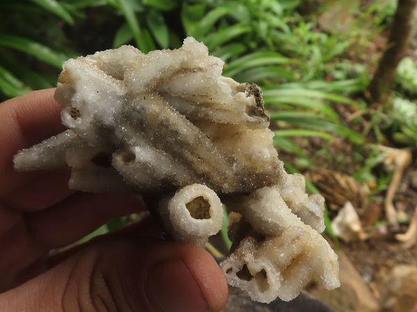 Natural Drusy Quartz Coated Calcite Pseudomorph Specimens  x 12 From Alberts Mountain, Lesotho - TopRock