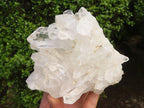 Natural Clear Quartz Crystal Specimens  x 5 From Zambia - Toprock Gemstones and Minerals 