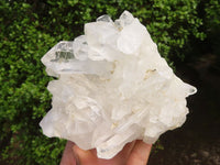 Natural Clear Quartz Crystal Specimens  x 5 From Zambia - Toprock Gemstones and Minerals 