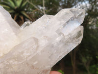 Natural Clear Quartz Crystal Specimens  x 5 From Zambia - Toprock Gemstones and Minerals 