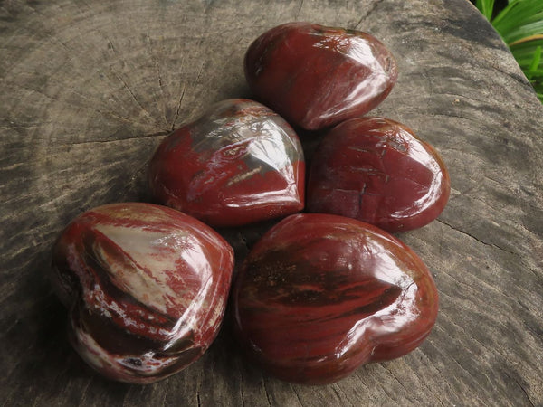 Polished Petrified Red Podocarpus Wood Hearts  x 5 From Mahajanga, Madagascar - TopRock