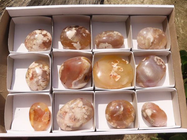 Polished Coral Flower Agate Palm Stones  x 12 From Madagascar - TopRock
