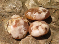 Polished Coral Flower Agate Palm Stones  x 12 From Madagascar - TopRock